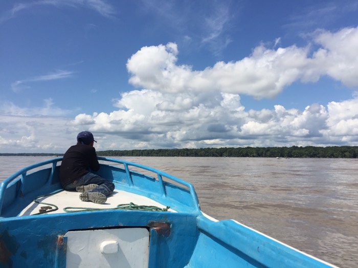 pesca junto al manglar 
