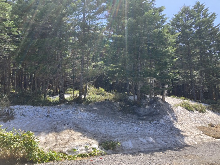 日陰にはまだ雪が！