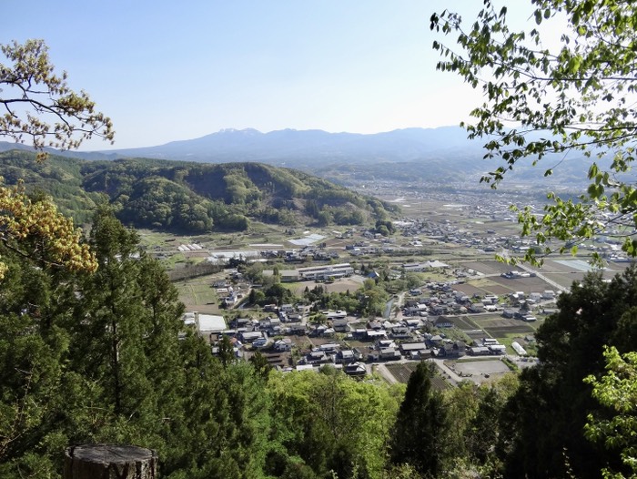 展望台から五稜郭を望む