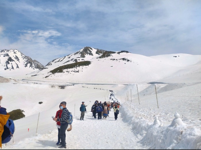 パノラマロード