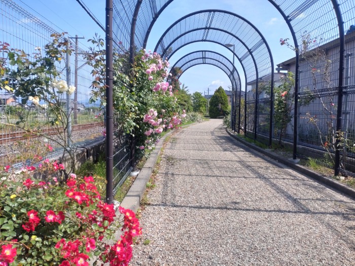 ゴードローズパーク