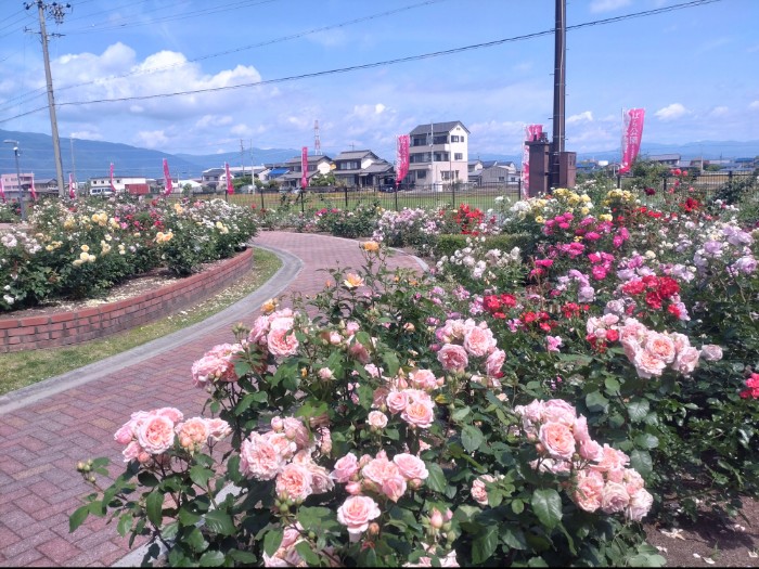 ばら園いこいの広場