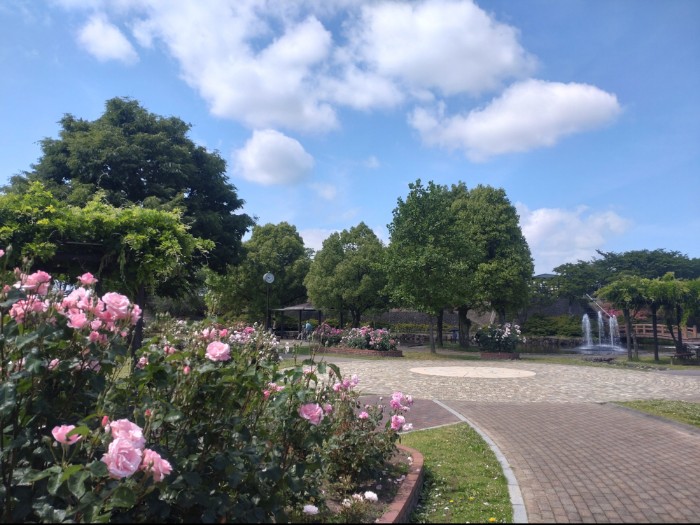 ばら園いこいの広場