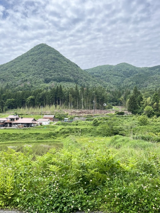 最初から登ったらキツイでぇ