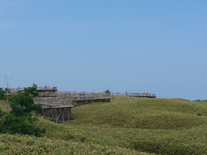 知床五湖高架木道