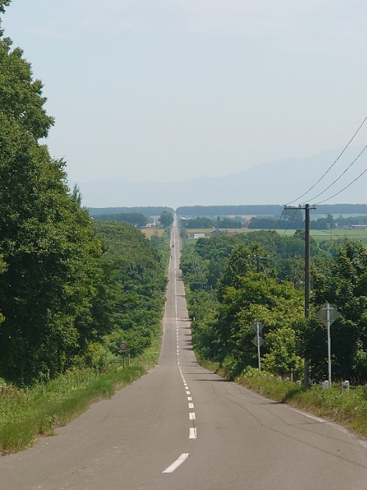 天に続く道の終点
