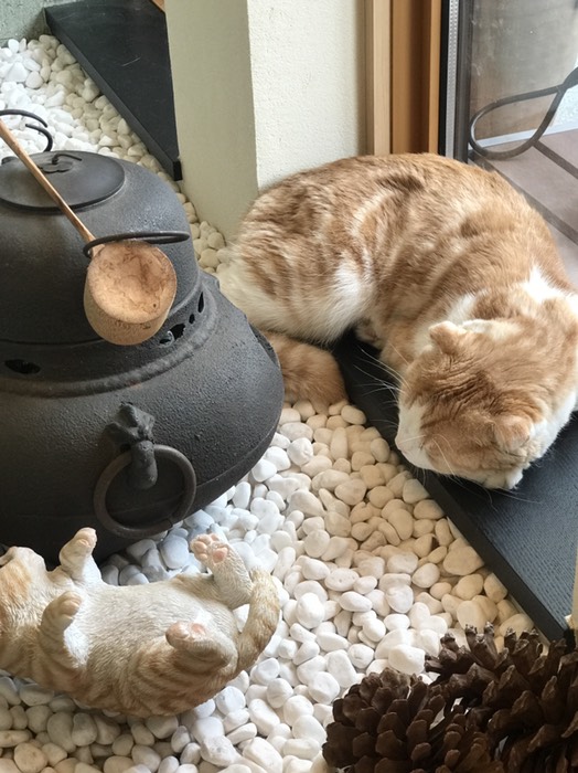 松本製茶のまるさ