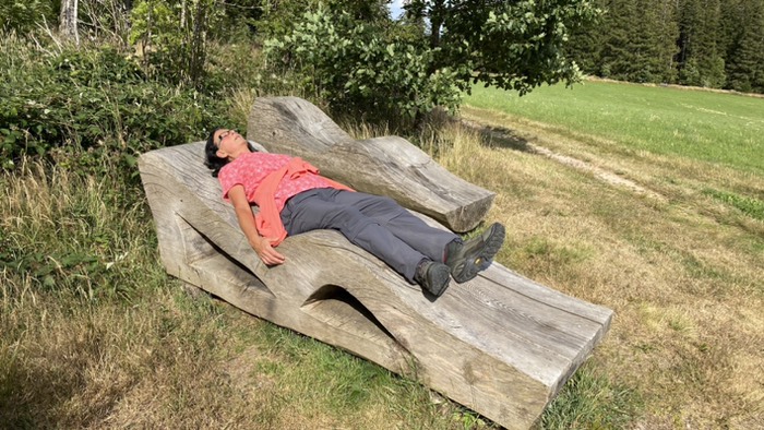 Holzliege aus einem massiven Stamm