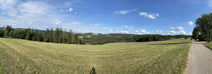 Schwarzwaldpanorama