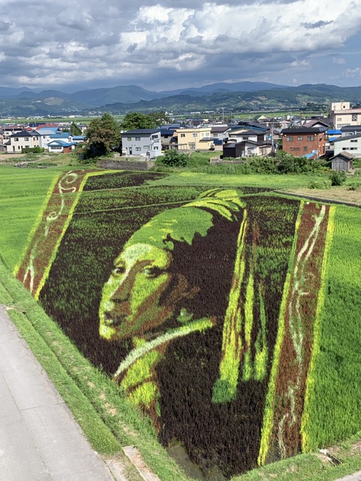 田んぼアート2