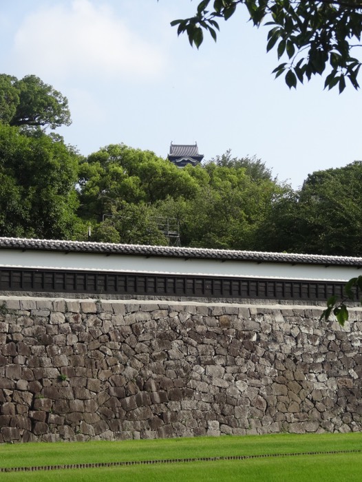 外からはこれくらいしか見れません