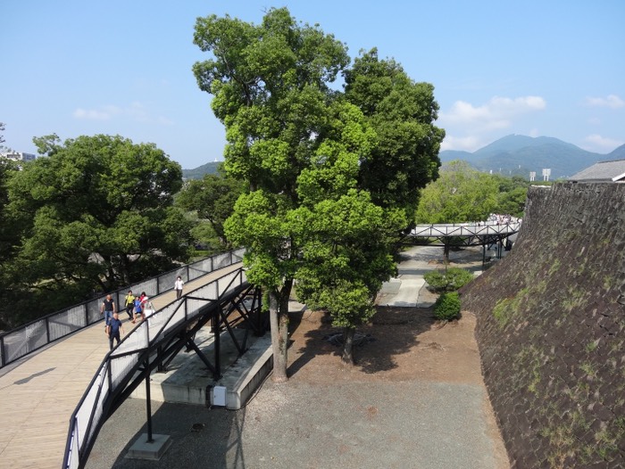 復旧工事中はこの特別見学通路を通るようです