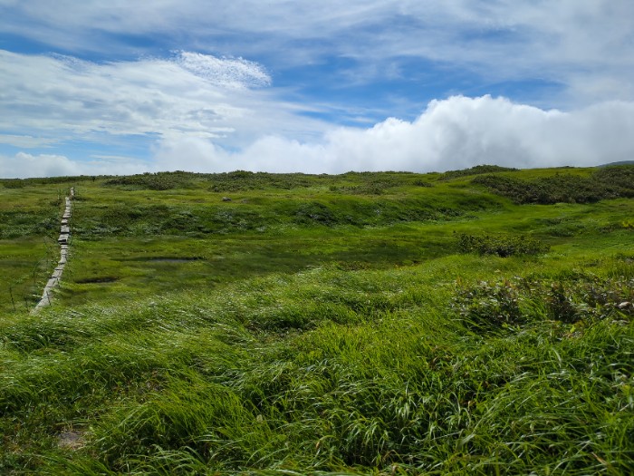 月山 弥陀ケ原