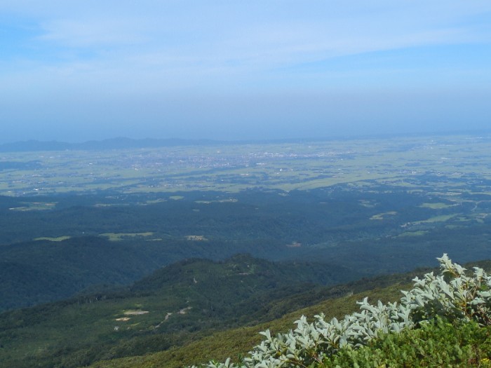 庄内平野