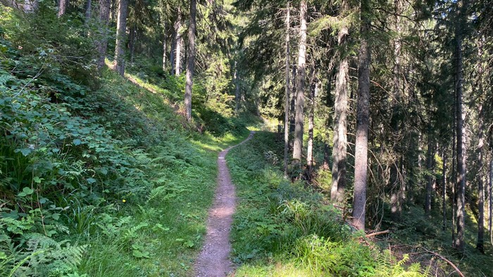 Pfad des “Mittelweges”