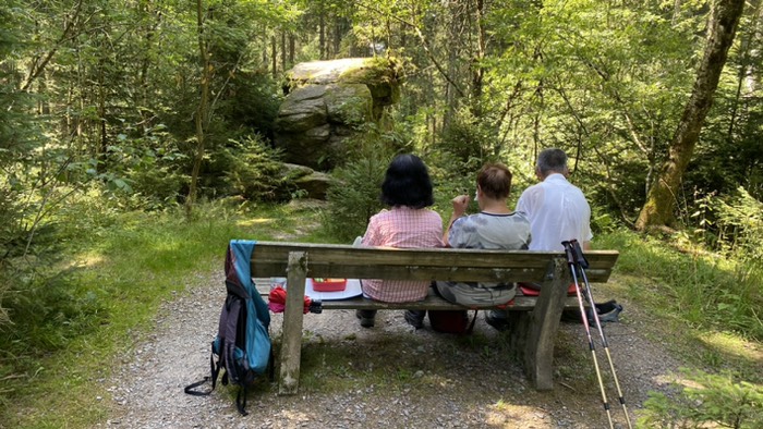 Rast am Vögelefelsen