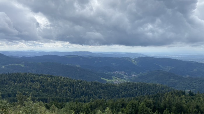 Blick über den Schwarzwald 