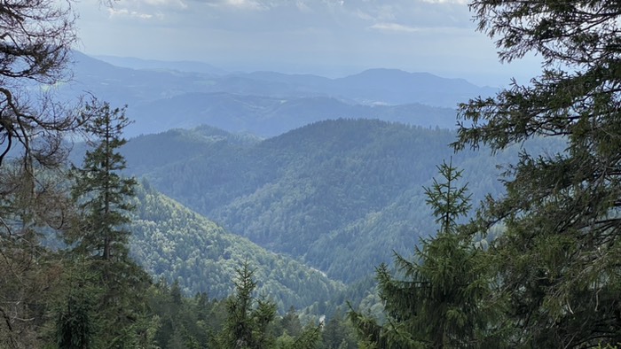 Dort unten liegt irgendwo 