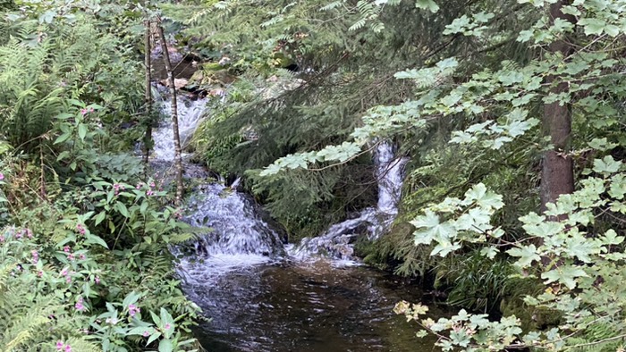 Der idyllische Lierbach