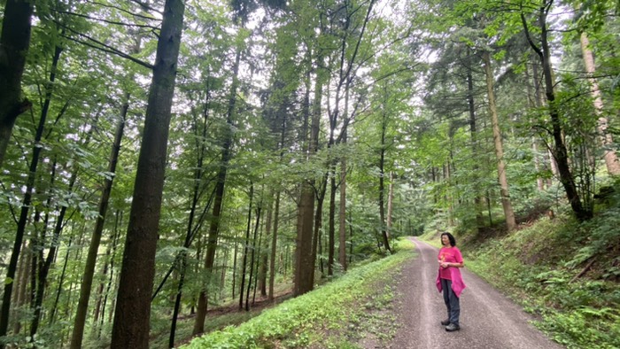 Waldweg bei Gaggenau