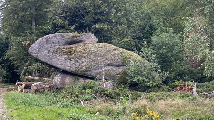 Stellt der Fels ein Tier dar?