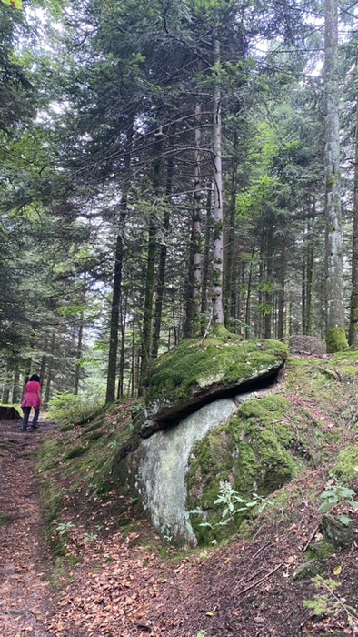 Baum auf Steinsockel