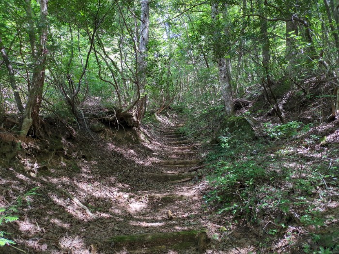 遊歩道