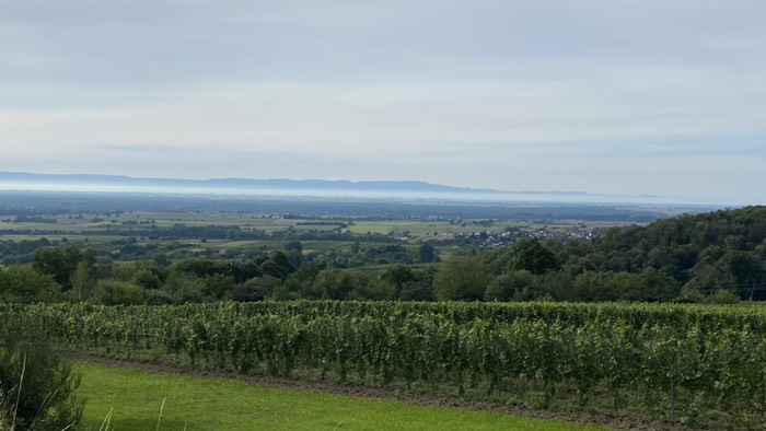 Der Nordschwarzwald in der Ferne