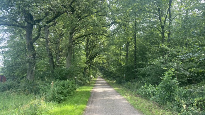 18 km Wald beginnen 