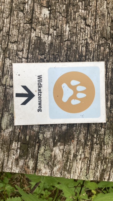 Wildkatzenweg