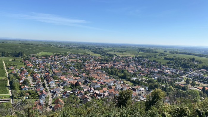 Blick von Burg Landeck auf Klingenmünster