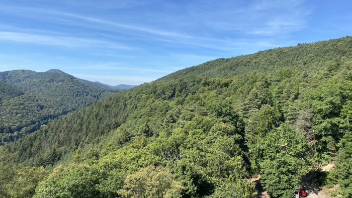 Blick in die Berge der Südpfalz