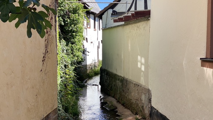 Beschauliche Winkel in Klingenmünster 