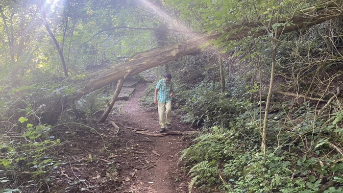 Ute kämpft sich durch Unterholz