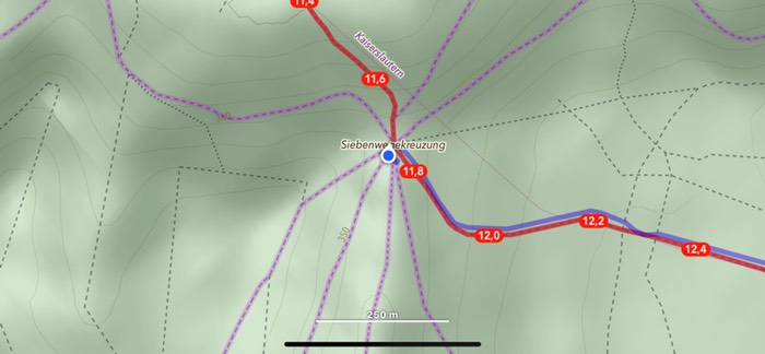 Kein Spinnennetz - hier kreuzen nur 9 Waldwege 