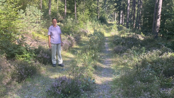 Wenig begangener Waldweg