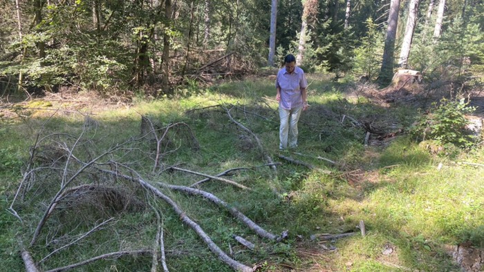 Nie ohne Hindernisse 