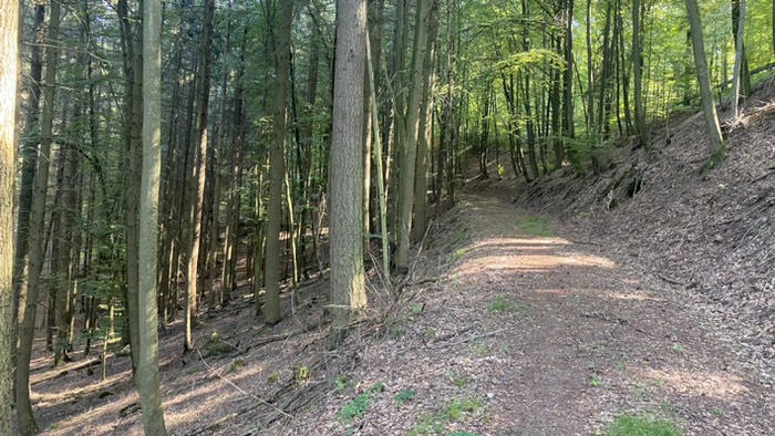 Der Weg führt durch „steiles“ Gelände 