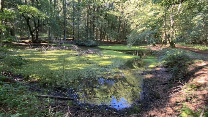 Stiller Weiher kurz vor K‘lautern