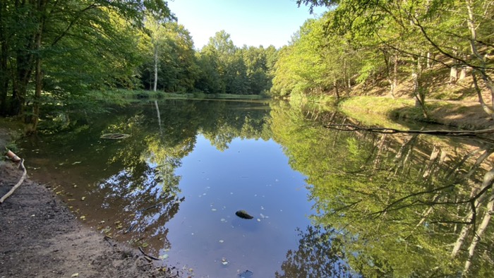 Schallbrunner Weiher