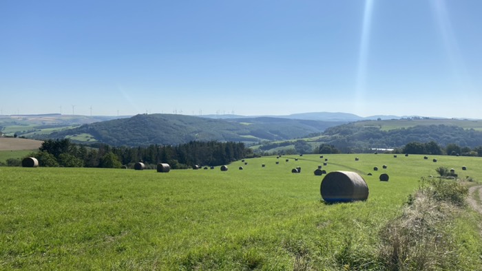 Schöner Ausblick bei Kaiserwetter