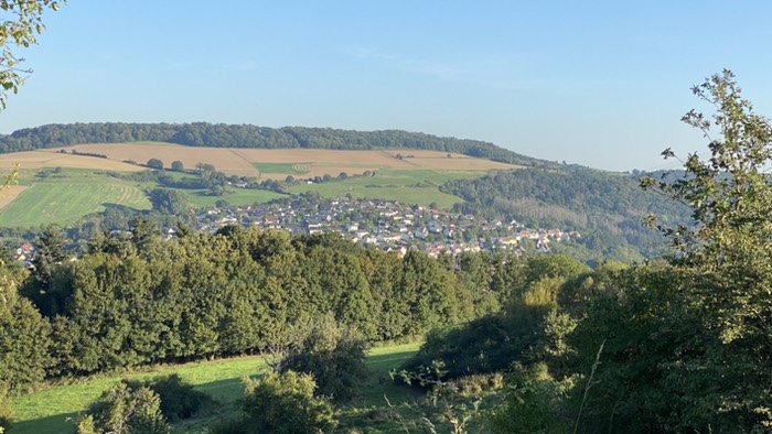 Blick über Rockenhausen 