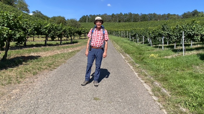 Rebhänge im Nahetal