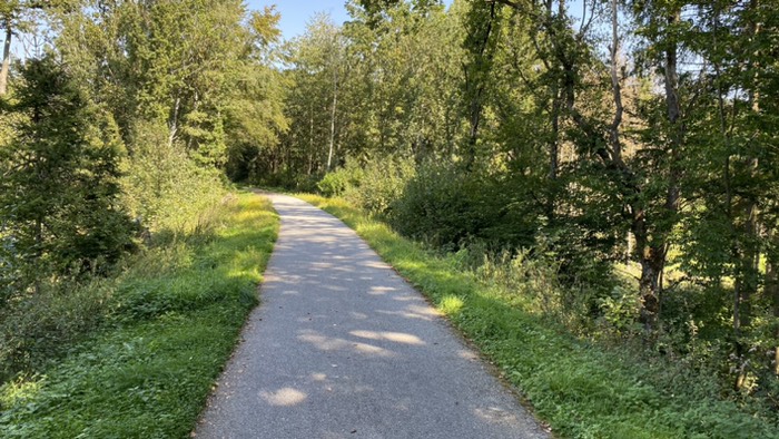 Bahndamm als Wanderweg