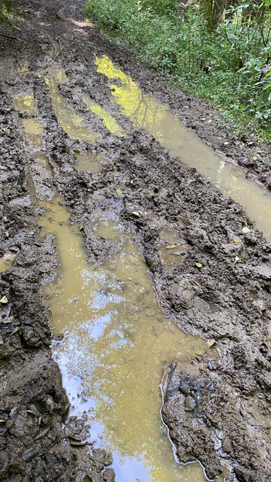 „Mudhole“ statt Wanderweg