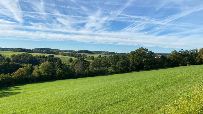 Immer wieder schweift unser Blick 