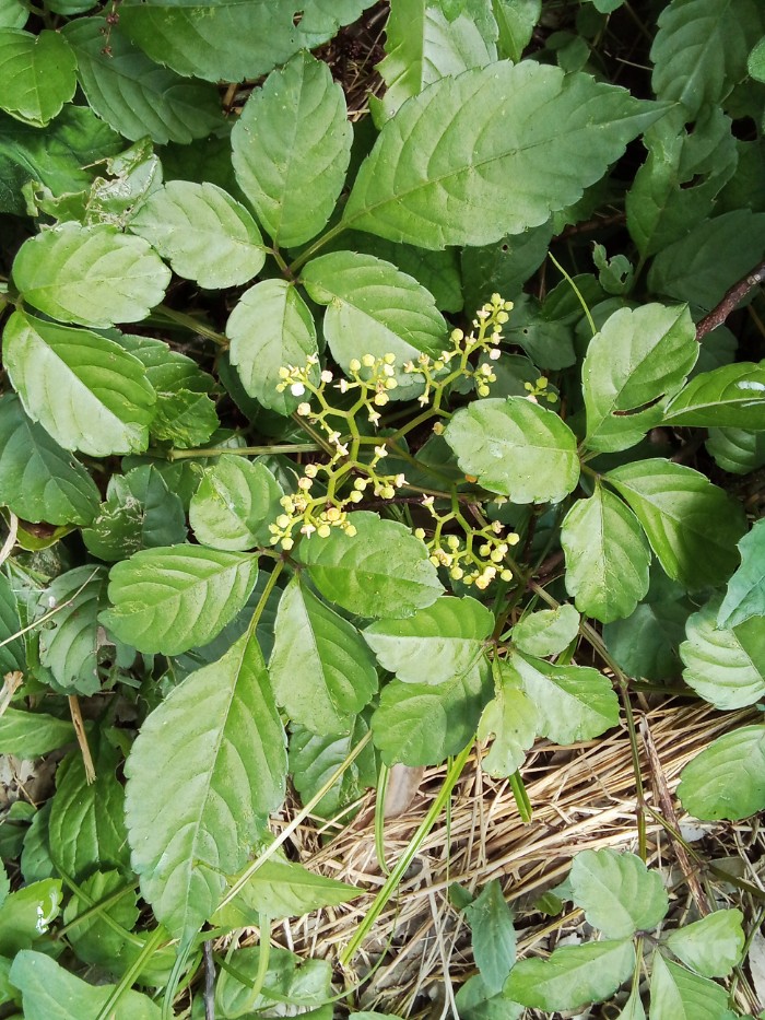 ？