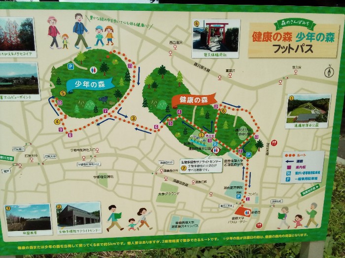 案内図