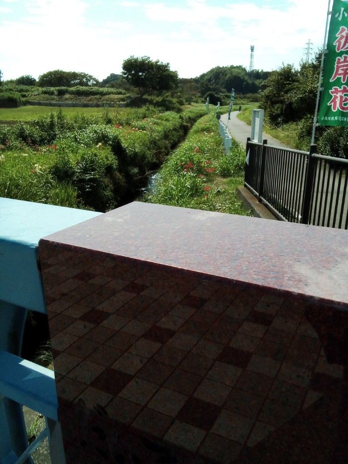小出川；大黒橋