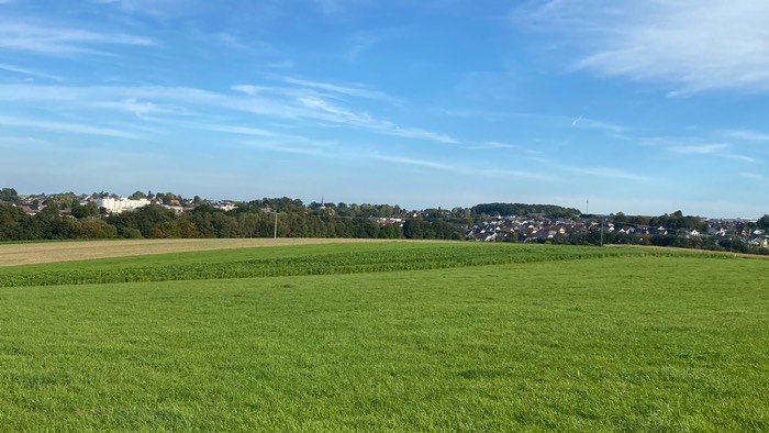 Langsam aber sicher